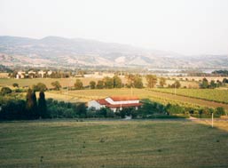 Lemadonnelle auf dem Lande